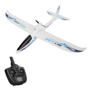 WLtoys F959S RC Airplane Fixed-wing SKY-King 2.4G 3CH 6- Gyro Remote control Aircraft Glider RTF