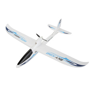 WLtoys F959S RC Airplane Fixed-wing SKY-King 2.4G 3CH 6- Gyro Remote control Aircraft Glider RTF