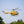 FLYWING BO-105  Class 470 6CH Brushless Motor GPS Fixed Point Altitude Hold Scale RC Helicopter